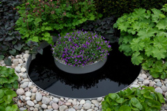 Water plays a significant part in the garden and takes the form of circular, reflective pools