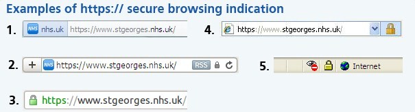 Secure browser indication examples