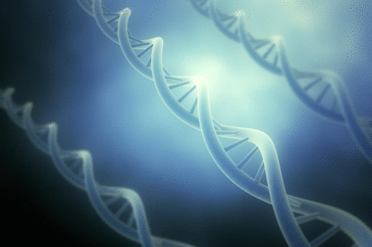 What is a Genome