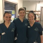 Top marks for neonatal training